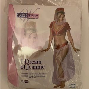 I Dream of Jeannie costume